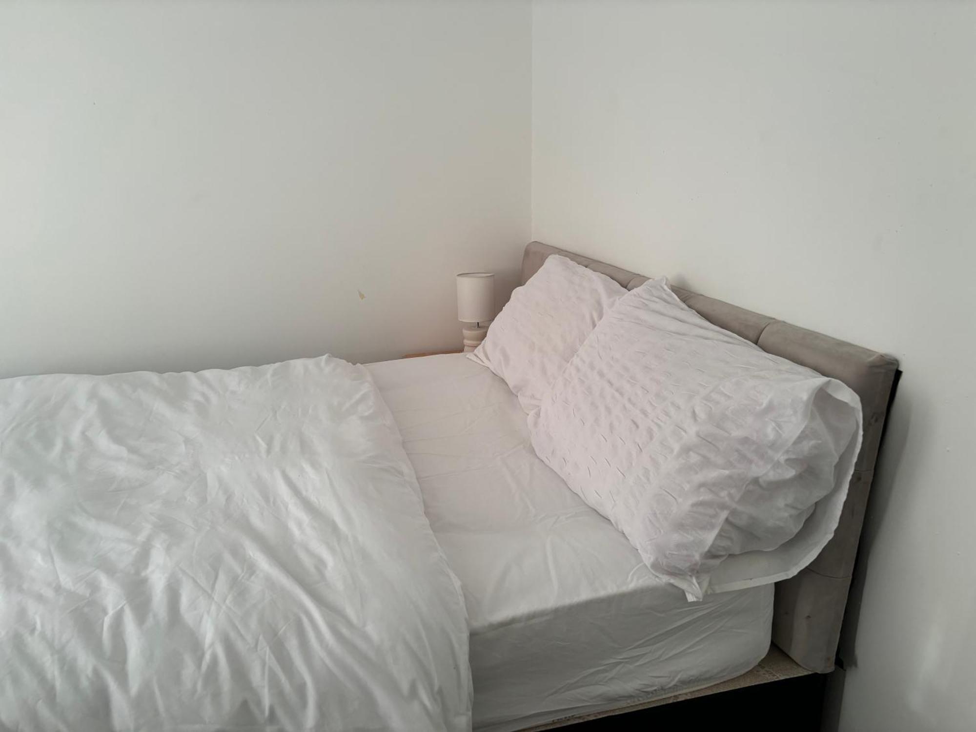فندق Stainless Guests House دادلي المظهر الخارجي الصورة